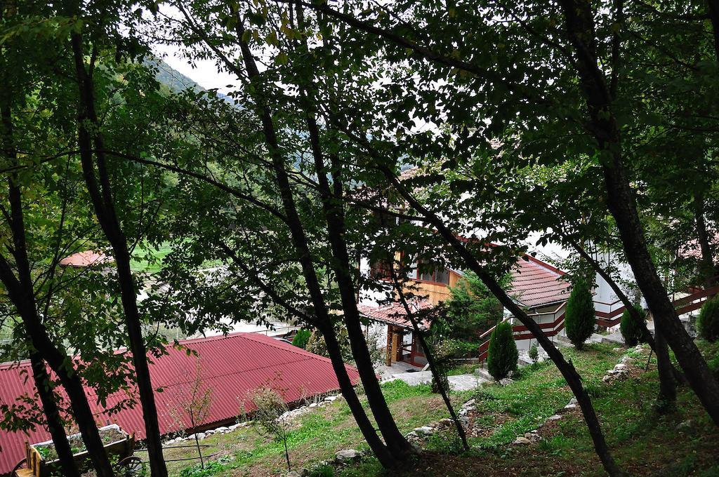 Fisherman'S Hut Family Hotel Beden Exterior photo